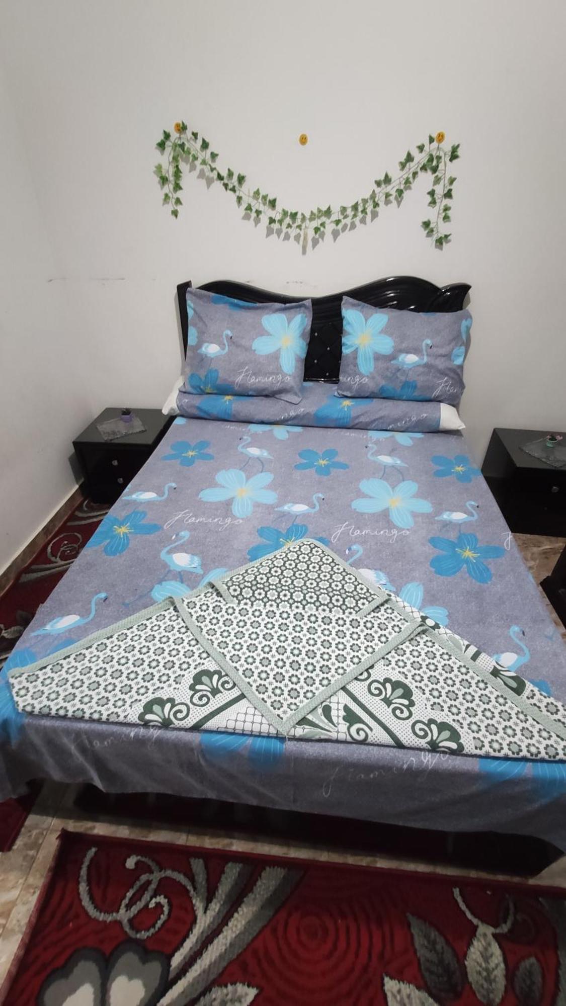 The Flowers Apartment Александрия Экстерьер фото